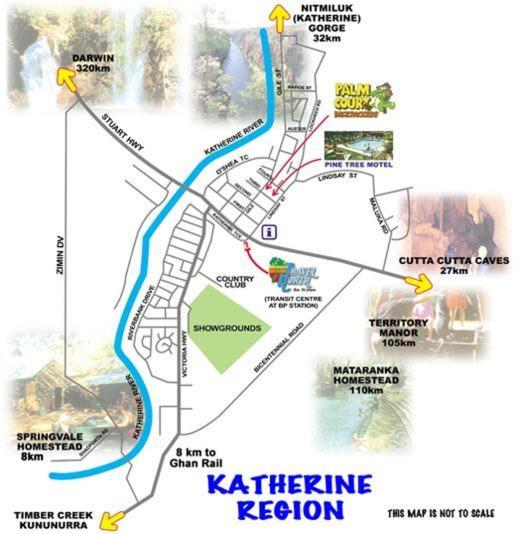 Palm Court Backpackers Vandrehjem Katherine Eksteriør billede